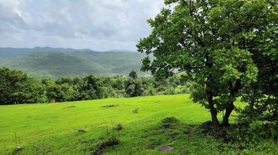 Image of 10000 Sq.ft Residential Plot / Land for sale in Khandad, Raigad for Rs. 350000