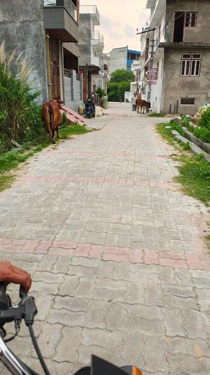 Sector 12, Vrindavan Yojana Main Image 1