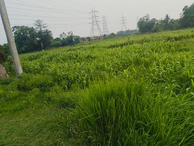 Image of 1440 Sq.ft Residential Plot / Land for sale in Sonarpur, Kolkata for Rs. 790000