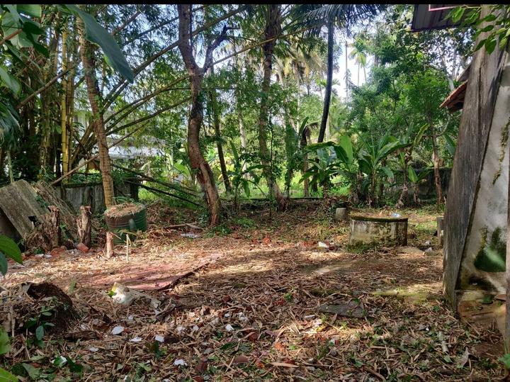 Cheranalloor Main Image 1