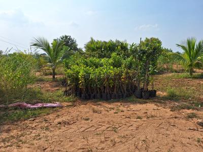Image of 600 Sq.ft Residential Plot / Land for sale in Narayankhed, Sangareddy for Rs. 600000