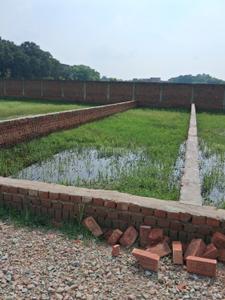 Barai Plot View 2