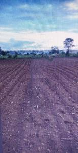 Image of 1786 Sq.ft Residential Plot / Land for sale in Ranjangaon MIDC, Pune for Rs. 16000000