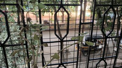 Image of 600 Sq.ft 1 BHK Apartment / Flat for rent in Dhanlaxmi Park, Kothrud, Pune for Rs. 21000