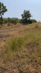 Image of 11000 Sq.ft Residential Plot / Land for sale in Bhor, Pune for Rs. 1895000