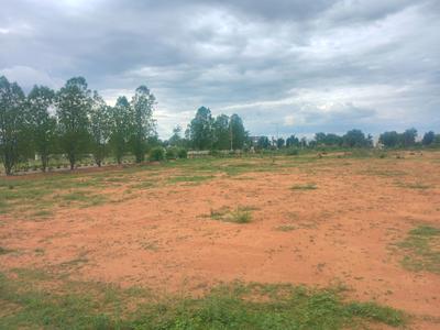 Residential Plot
