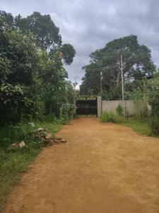 Image of 27648 Sq.ft 12 BHK Farm House for sale in Udaipur, Gomati for Rs. 20000000
