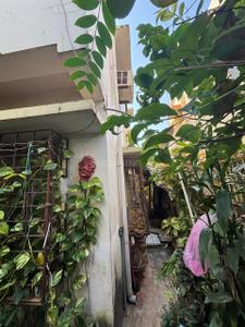 Image of 1384 Sq.ft 4 BHK Independent House for sale in Patia, Bhubaneswar for Rs. 47500000