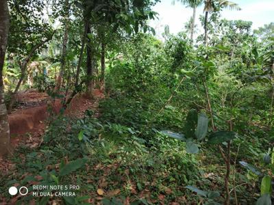 Image of 8712 Sq.ft Residential Plot / Land for sale in Koottikada, Kollam for Rs. 9000000