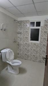 Bathroom Image of 920 Sq.ft 2 BHK Apartment / Flat for rent in Amrapali Dream Valley 2, Noida Extension Greater Noida for Rs. 20000