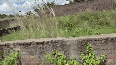 Image of 435 Sq.ft Residential Plot / Land for sale in Pundag, Ranchi for Rs. 1300000