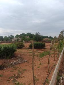 Image of 121 Sq.ft Residential Plot / Land for sale in Shadnagar, Ranga Reddy for Rs. 1000000