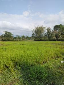 Image of 8640 Sq.ft 3 BHK Independent House for sale in Kaliapani Grant, Jorhat for Rs. 9800000