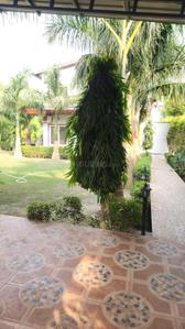Image of 1500 Sq.ft 3 BHK Farm House for sale in Dkrrish Green Beauty Farms, Sector 135, Noida for Rs. 8500000