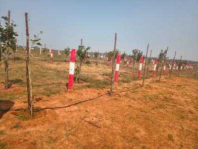 Image of 1200 Sq.ft Residential Plot / Land for sale in Thamaaraipakkam, Chennai for Rs. 960000