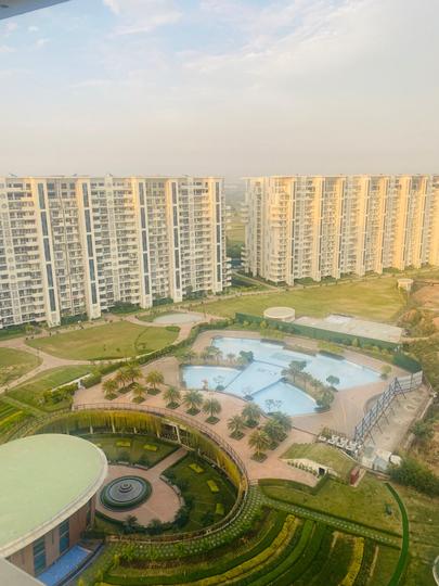 Janta Falcon View Main Image 1