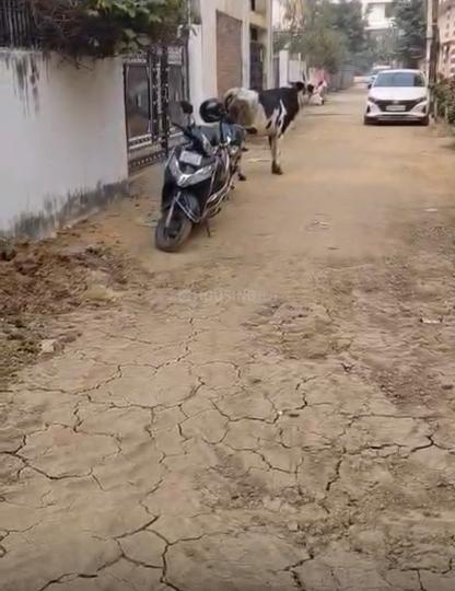 Danapur Nizamat, Danapur Main Image 1