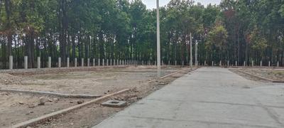Image of 1218 Sq.ft Residential Plot / Land for sale in R V Estate Reyansh Green, Pondha, Dehradun for Rs. 7500000