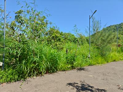 Image of 2723 Sq.ft Residential Plot / Land for sale in Shrivardhan, Raigad for Rs. 220000