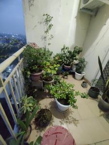 Balcony Image of 1710 Sq.ft 3 BHK Apartment / Flat for sale in Paramount Emotions, Noida Extension Greater Noida for Rs. 15100000