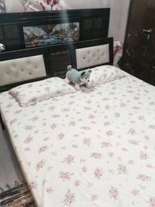 Bedroom Image of 550 Sq.ft 2 BHK Apartment / Flat for sale in Sector 115 Mohali for Rs. 3500000