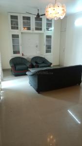 Hall Image of 1478 Sq.ft 3 BHK Apartment / Flat for rent in TDI Lake Grove City, Kundli Sonipat for Rs. 30000