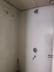 Common Bathroom Image of 585 Sq.ft 1 BHK Apartment / Flat for sale in Lodha Casa Rio, Palava Phase 1 Thane for Rs. 3150000