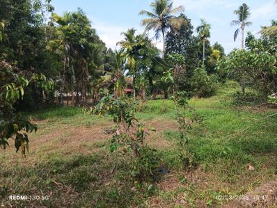 Image of 1000 Sq.ft Residential Plot / Land for sale in Thalayolaparambu, Kottayam for Rs. 10000000