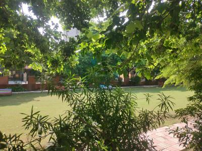 HBH Colony Playing Area 3