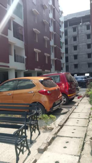 Bengal 24 Main Image 1