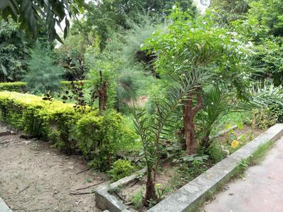Image of 880 Sq.ft Residential Plot / Land for sale in Thaltej, Ahmedabad for Rs. 88000000