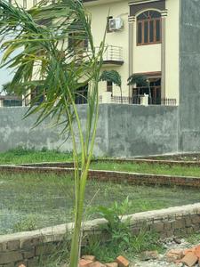 Image of 1450 Sq.ft Residential Plot / Land for sale in Babatpur, Varanasi for Rs. 4640000