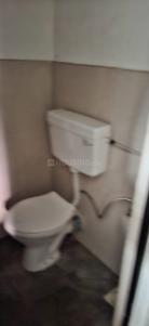 Bathroom Image of 695 Sq.ft 1 BHK Apartment / Flat for rent in Signature Vrajdham, Sarkhej Ahmedabad for Rs. 20000