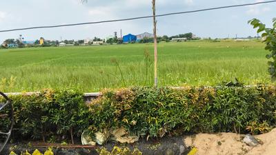 Image of 1500 Sq.ft Residential Plot / Land for sale in Malkita, Bardhaman for Rs. 1650000