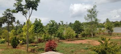 Image of 6000 Sq.ft Residential Plot / Land for sale in Gollahalli, Bengaluru for Rs. 4800000