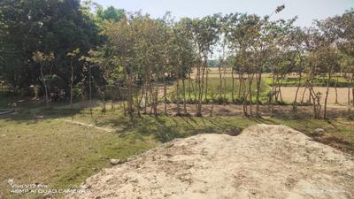 Image of 1900 Sq.ft Residential Plot / Land for sale in Basdeopur, Darbhanga for Rs. 2100000