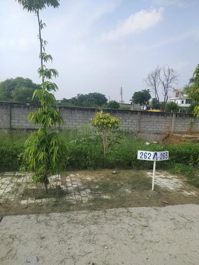 New Stone Coral Park Main Image 1