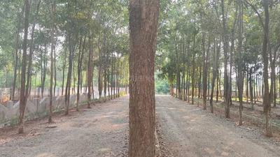 Image of 100 Sq.ft Residential Plot / Land for sale in Bobbili, Vizianagaram for Rs. 700000