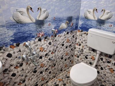 Bathroom Image of 750 Sq.ft 2 BHK Independent House for rent in Mogappair East Chennai for Rs. 23000