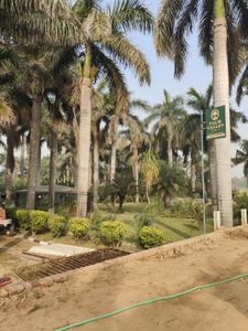 Image of 1116 Sq.ft Residential Plot / Land for sale in Unnati Palm Valley, Sector 12A, Panchkula for Rs. 10965000