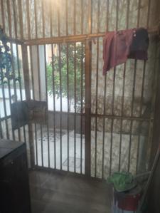 Balcony Image of 1300 Sq.ft 2.5 BHK Apartment / Flat for rent in Sector-1 Dharuhera for Rs. 21000