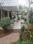 C GLOBAL BUNGALOW Main Image 1