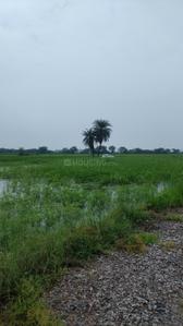 Image of 50 Sq.ft Residential Plot / Land for sale in Silani, Gurgaon for Rs. 750000