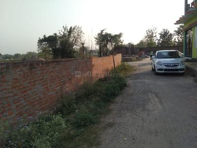 Dular Mau Plot View 2