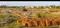 AIIMS CITY Plot View 2