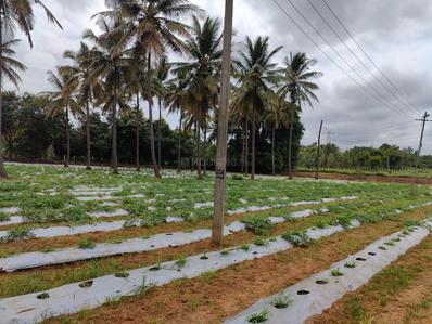 Image of 91200 Sq.ft Residential Plot / Land for sale in Rajanukunte, Bengaluru for Rs. 150000000