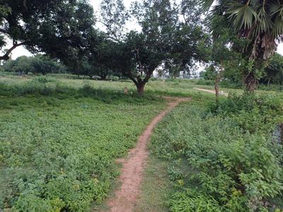 Image of 2520 Sq.ft Residential Plot / Land for sale in Thimmapuram, Kakinada for Rs. 5000000