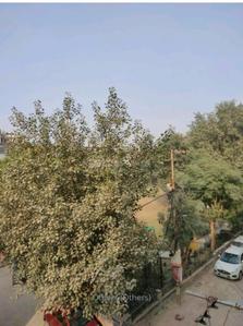 Image of 861 Sq.ft 3 BHK Builder Floor for sale in Vasundhara, Ghaziabad for Rs. 7500000