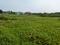 Sonargaon 2 Plot View 1