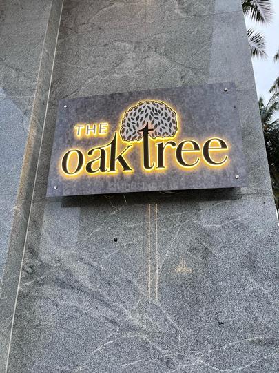 RR Oak Tree Main Image 1